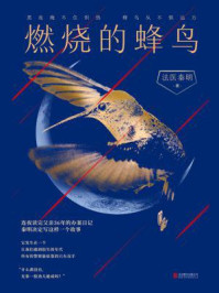 燃烧的蜂鸟3